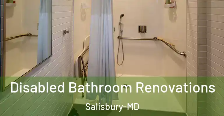 inner Bathroom imggen Disabled Bathroom Renovations Salisbury-MD
