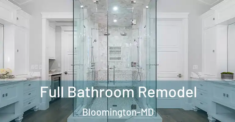 inner Bathroom imggen Full Bathroom Remodel Bloomington-MD