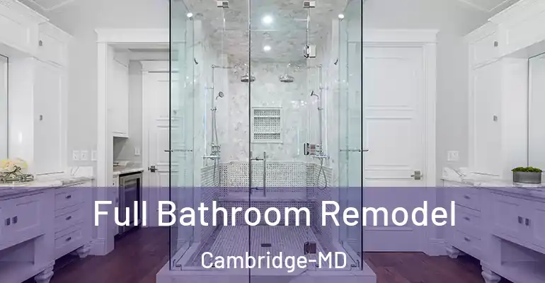 inner Bathroom imggen Full Bathroom Remodel Cambridge-MD