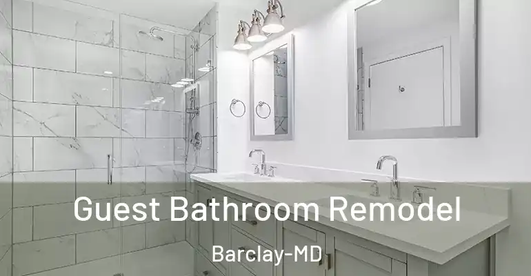 inner Bathroom imggen Guest Bathroom Remodel Barclay-MD