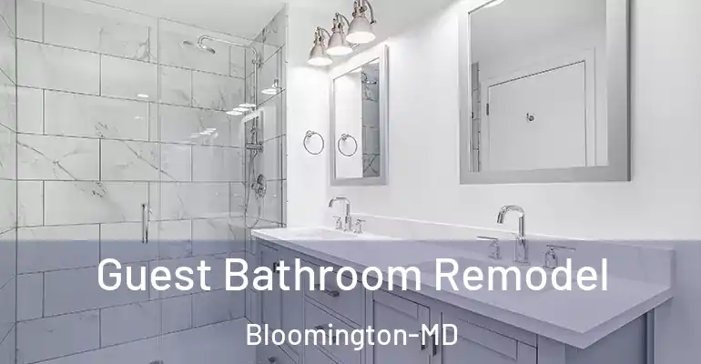 inner Bathroom imggen Guest Bathroom Remodel Bloomington-MD
