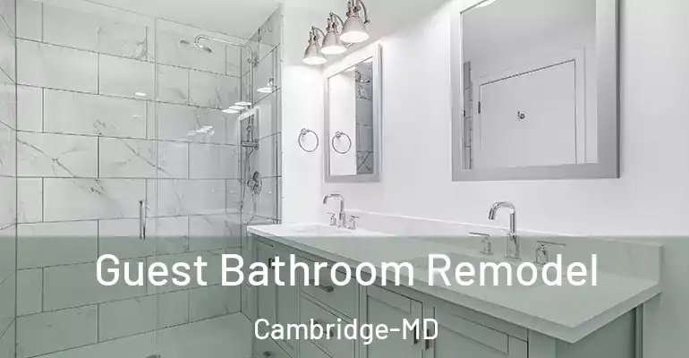 inner Bathroom imggen Guest Bathroom Remodel Cambridge-MD