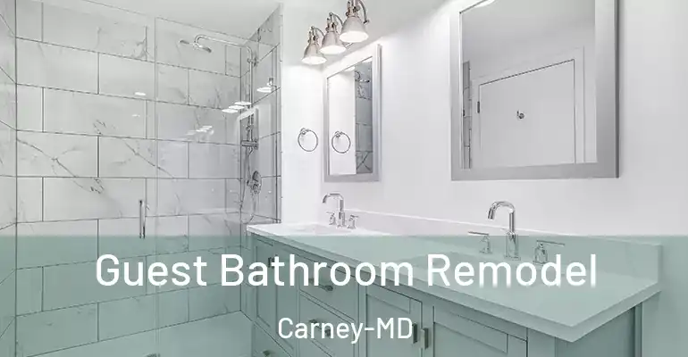 inner Bathroom imggen Guest Bathroom Remodel Carney-MD