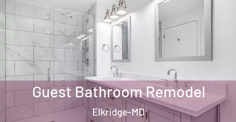 inner Bathroom imggen Guest Bathroom Remodel Elkridge-MD