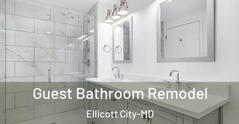 inner Bathroom imggen Guest Bathroom Remodel Ellicott City-MD