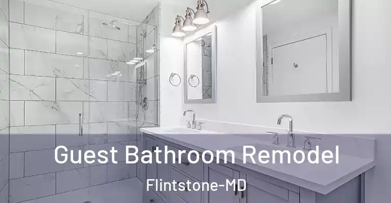 inner Bathroom imggen Guest Bathroom Remodel Flintstone-MD