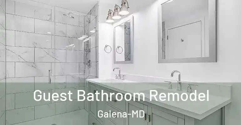 inner Bathroom imggen Guest Bathroom Remodel Galena-MD