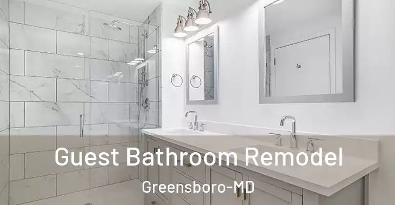 inner Bathroom imggen Guest Bathroom Remodel Greensboro-MD