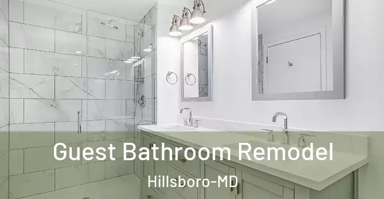inner Bathroom imggen Guest Bathroom Remodel Hillsboro-MD