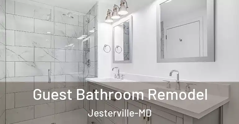 inner Bathroom imggen Guest Bathroom Remodel Jesterville-MD