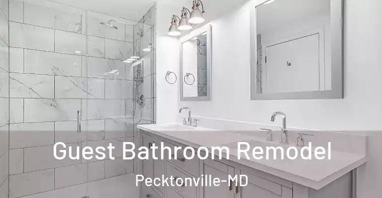 inner Bathroom imggen Guest Bathroom Remodel Pecktonville-MD