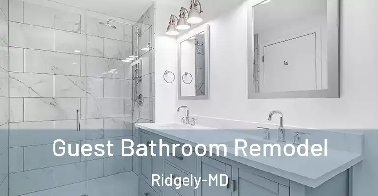 inner Bathroom imggen Guest Bathroom Remodel Ridgely-MD