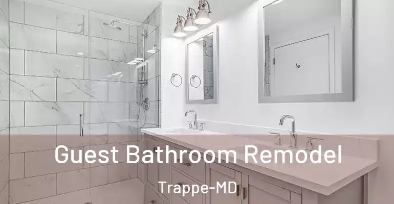 inner Bathroom imggen Guest Bathroom Remodel Trappe-MD