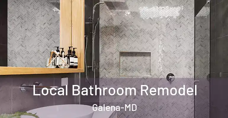 inner Bathroom imggen Local Bathroom Remodel Galena-MD