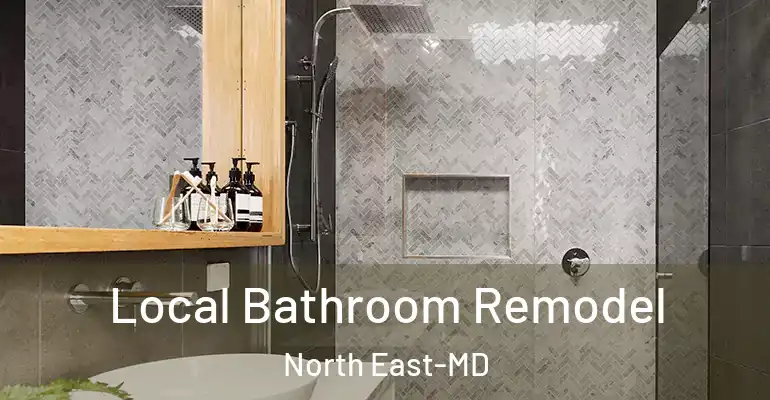 inner Bathroom imggen Local Bathroom Remodel North East-MD