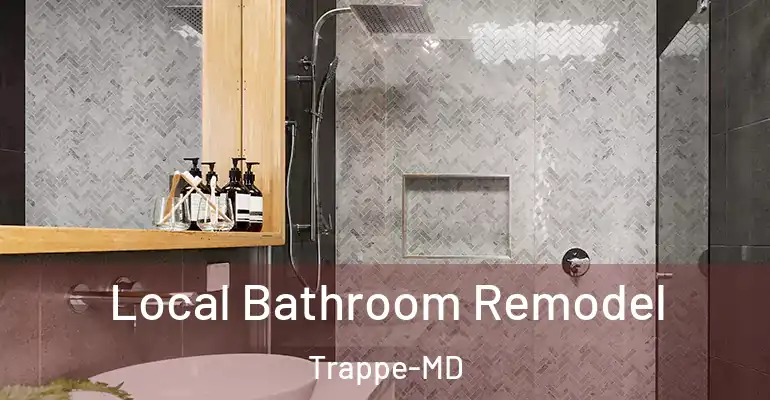 inner Bathroom imggen Local Bathroom Remodel Trappe-MD