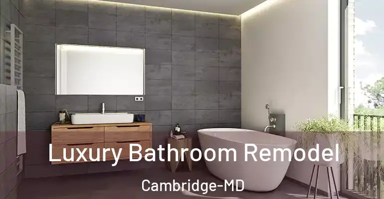 inner Bathroom imggen Luxury Bathroom Remodel Cambridge-MD