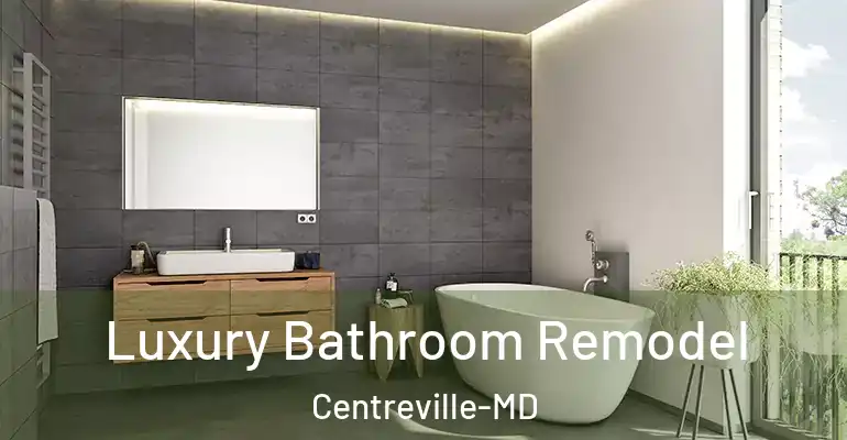 inner Bathroom imggen Luxury Bathroom Remodel Centreville-MD