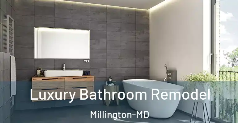 inner Bathroom imggen Luxury Bathroom Remodel Millington-MD