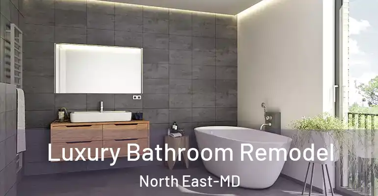 inner Bathroom imggen Luxury Bathroom Remodel North East-MD