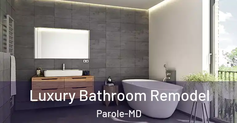 inner Bathroom imggen Luxury Bathroom Remodel Parole-MD