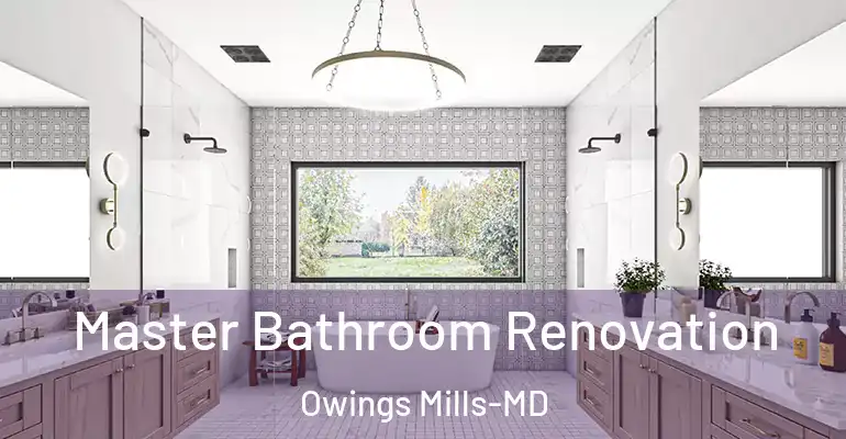 inner Bathroom imggen Master Bathroom Renovation Owings Mills-MD