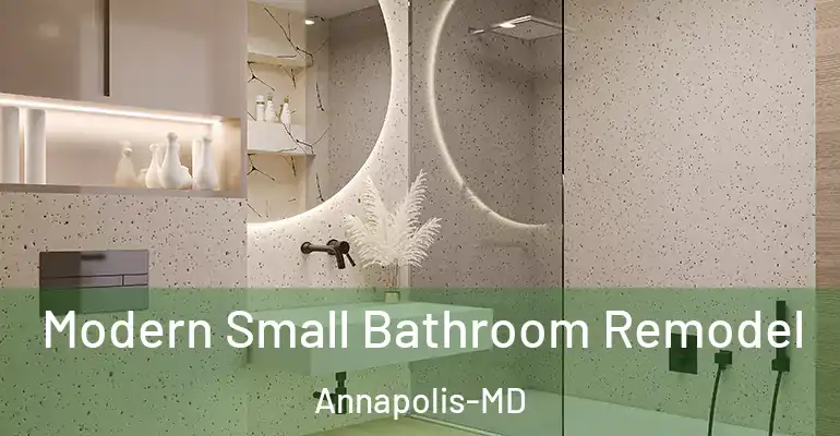 inner Bathroom imggen Modern Small Bathroom Remodel Annapolis-MD