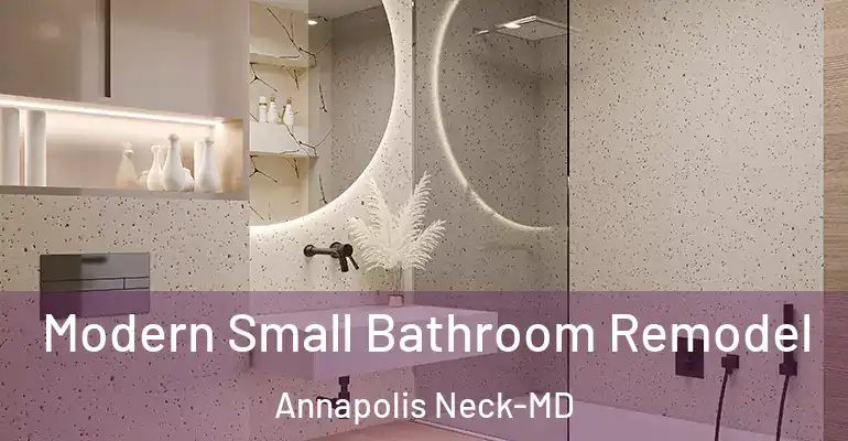 inner Bathroom imggen Modern Small Bathroom Remodel Annapolis Neck-MD