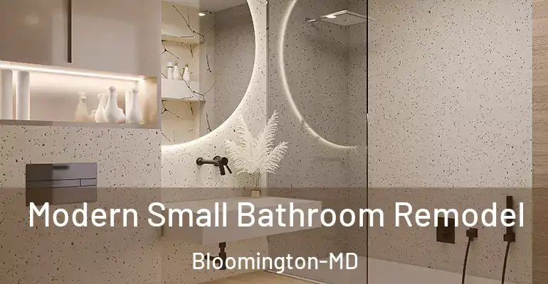 inner Bathroom imggen Modern Small Bathroom Remodel Bloomington-MD