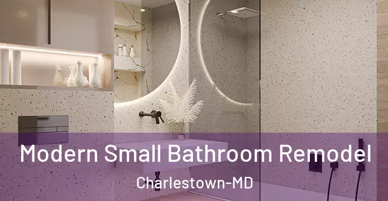 inner Bathroom imggen Modern Small Bathroom Remodel Charlestown-MD