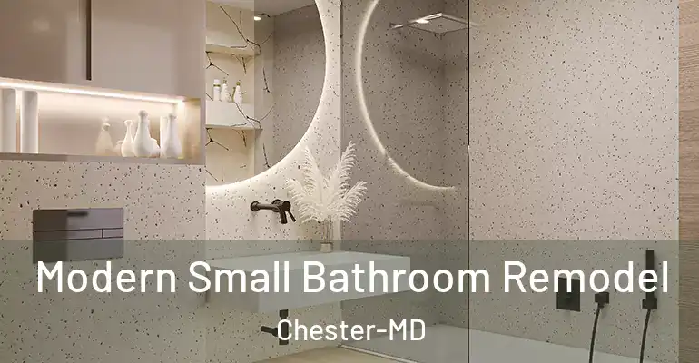 inner Bathroom imggen Modern Small Bathroom Remodel Chester-MD