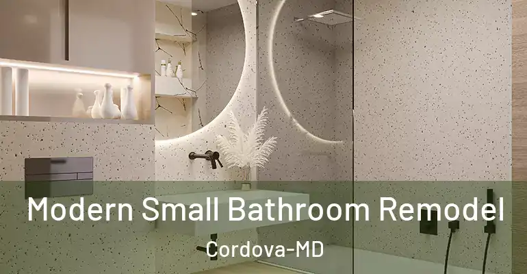 inner Bathroom imggen Modern Small Bathroom Remodel Cordova-MD
