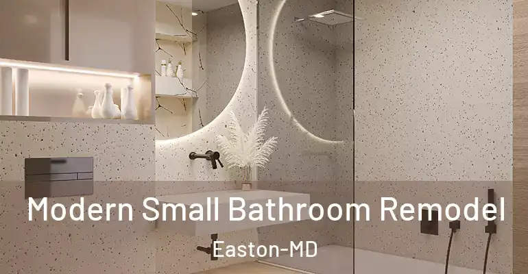 inner Bathroom imggen Modern Small Bathroom Remodel Easton-MD