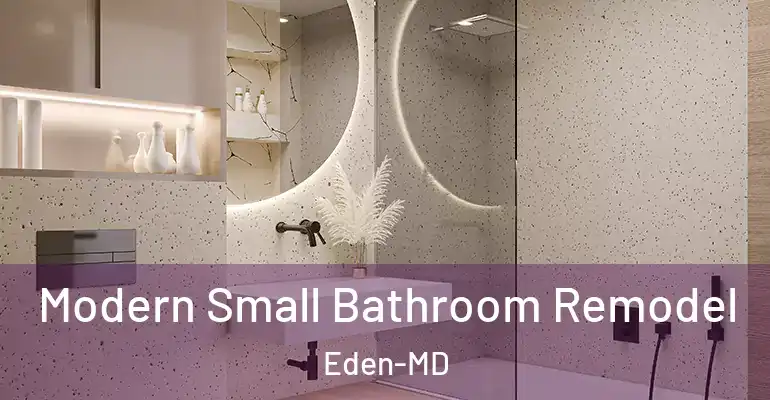 inner Bathroom imggen Modern Small Bathroom Remodel Eden-MD