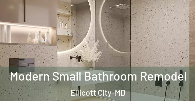 inner Bathroom imggen Modern Small Bathroom Remodel Ellicott City-MD
