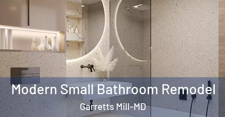 inner Bathroom imggen Modern Small Bathroom Remodel Garretts Mill-MD