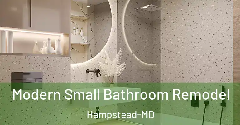 inner Bathroom imggen Modern Small Bathroom Remodel Hampstead-MD