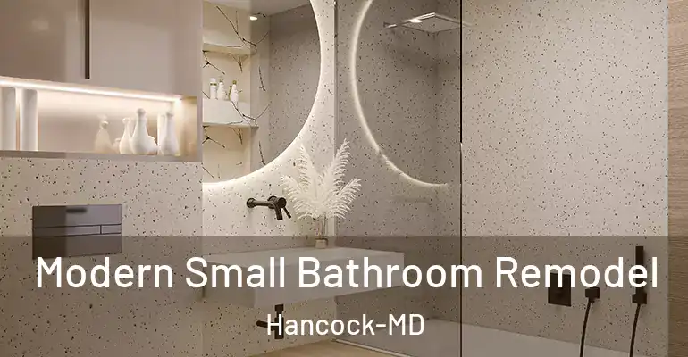 inner Bathroom imggen Modern Small Bathroom Remodel Hancock-MD