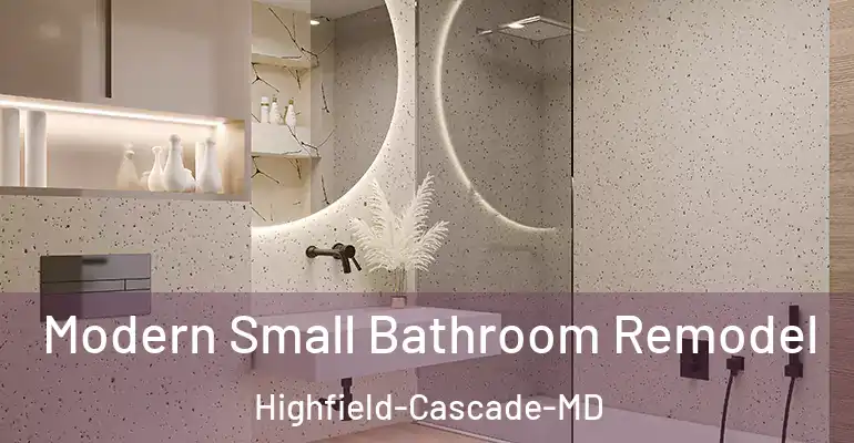 inner Bathroom imggen Modern Small Bathroom Remodel Highfield-Cascade-MD