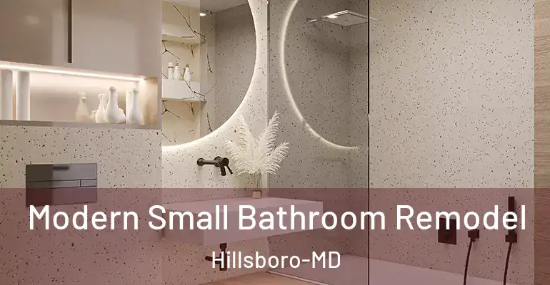 inner Bathroom imggen Modern Small Bathroom Remodel Hillsboro-MD