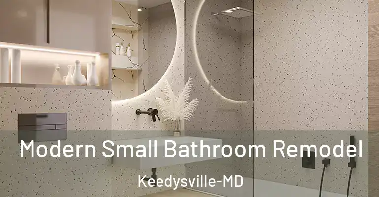 inner Bathroom imggen Modern Small Bathroom Remodel Keedysville-MD