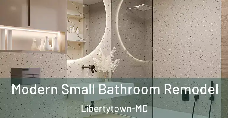 inner Bathroom imggen Modern Small Bathroom Remodel Libertytown-MD