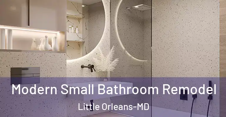 inner Bathroom imggen Modern Small Bathroom Remodel Little Orleans-MD