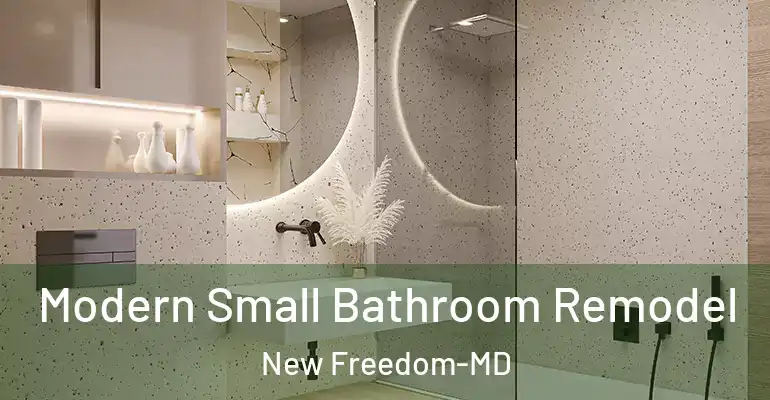 inner Bathroom imggen Modern Small Bathroom Remodel New Freedom-MD