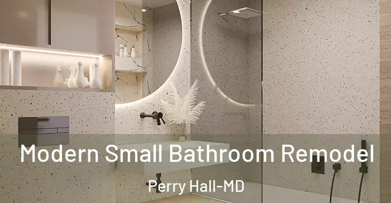 inner Bathroom imggen Modern Small Bathroom Remodel Perry Hall-MD