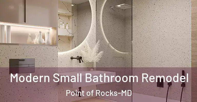 inner Bathroom imggen Modern Small Bathroom Remodel Point of Rocks-MD