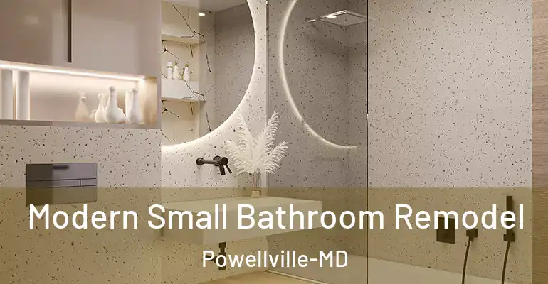 inner Bathroom imggen Modern Small Bathroom Remodel Powellville-MD