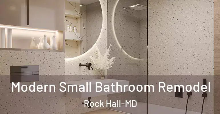 inner Bathroom imggen Modern Small Bathroom Remodel Rock Hall-MD