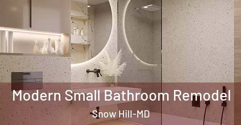 inner Bathroom imggen Modern Small Bathroom Remodel Snow Hill-MD