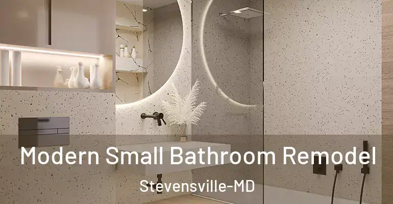 inner Bathroom imggen Modern Small Bathroom Remodel Stevensville-MD